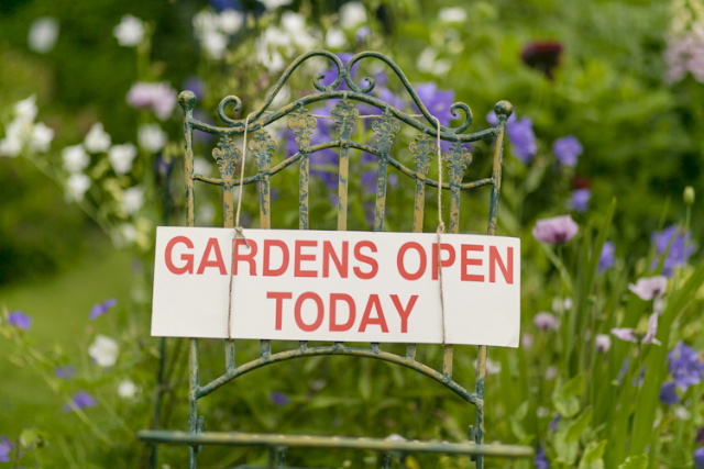 约克花园开放日