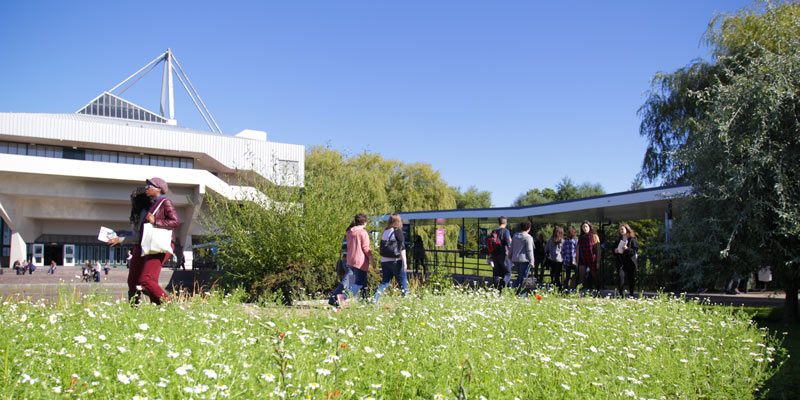 约克大学本科生open days